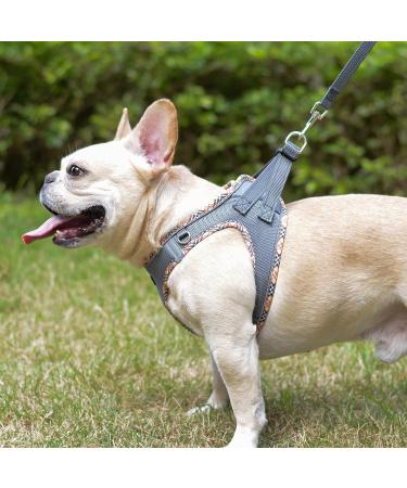 Doramio Reflective Step-In Dog Harness for Small Dogs & Cats - Breathable Safety Design with Leash - Ideal for Training - Gray (M) - Buy Online on GoSupps.com