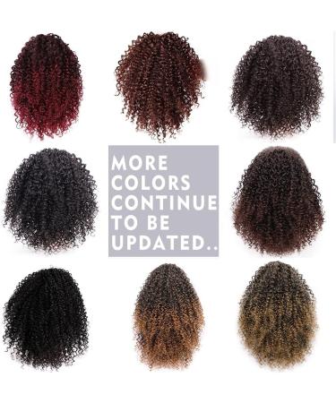 Hair Extensions 8 Inch Short Curly with Drawstring Hairpin Ponytail Afro Ponytail Hair Extension Synthetic Curly Bun for Black Women Hair Pieces For Women (Color : D Size : 8inches) 8inches D - Buy Online on GoSupps.com