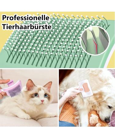 PHAVESAS Gro Pets Dog and Cat Self-Cleaning Brush | Best Pet Brush for Long and Short Hair - Purple Rosa Pink - Buy Online on GoSupps.com