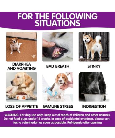 Dog Probiotics Chewables-Gut Health Probiotics - Support Gut Health Itchy Skin Seasonal Allergies and Yeast with Each Tasty Chew -Safe for Small Medium and Large Dogs-120 Pieces Chewable Probiotics - Buy Online on GoSupps.com