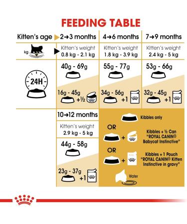 Royal Canin Kitten Food Persian 32 Dry Mix 4 kg 4 kg (Pack of 1) - Buy Online on GoSupps.com