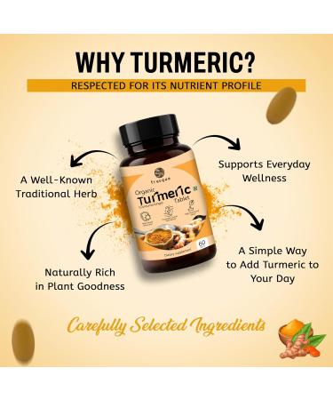 Fresque Turmeric Supplement Curcuma Longa Root Extract Supports Daily Wellness and Nutrition Vegan Non GMO 60 Capsules - Buy Online on GoSupps.com