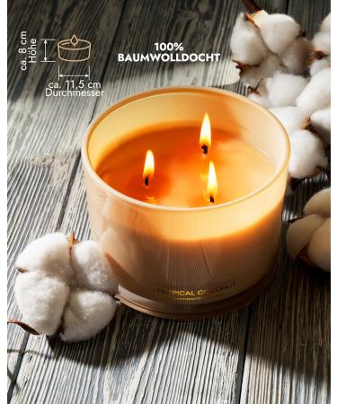 96north Luxury Coconut Candles | 3-Wick Natural Soy Wax | 40-Hour Burn | Perfect Wedding Gifts for Women | Fragrance in Glass - Buy Online on GoSupps.com