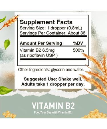 HoneyCombs High Potency Vitamin B1 (Thiamine) & B2 (Riboflavin) Drops Vegan Non-GMO Alcohol-Free Liquid for Health Digestion Hair Skin & Nails - Buy Online on GoSupps.com