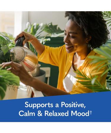 Garden of Life Dr. Formulated Multi+ Stress & Mood Fermented Liposomal Multivitamin + Ashwagandha B Vitamins & Probiotics - 60 Capsules Whole Food Vitamin & Mineral Supplement - Buy Online on GoSupps.com