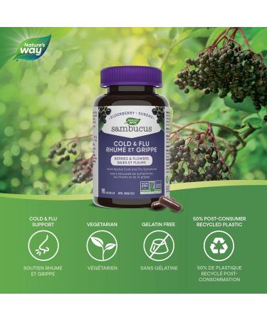 Sambucus Elderberry Cold and Flu Care Capsules 90 Vegetarian Capsules Non-GMO Project Verified 90 Capsules Medicine - Buy Online on GoSupps.com