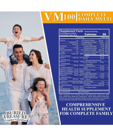 Buried Treasure VM100 Liquid Vitamins & Minerals - Antioxidant Supplement, Orange Zest Flavor, 32 Servings - Buy Online on GoSupps.com