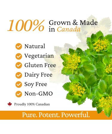 Rhoziva Digest. Gut Health Supplement with Digestive Enzymes for Women and Men. Supports Healthy Digestion Reflux Bloating. 60 Capsules - Buy Online on GoSupps.com