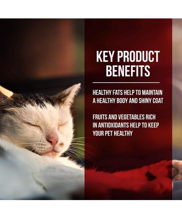 Fussie Cat Market Fresh Grain-Free Chicken & Turkey Dry Cat Food - 4lb Pack - Buy Online on GoSupps.com