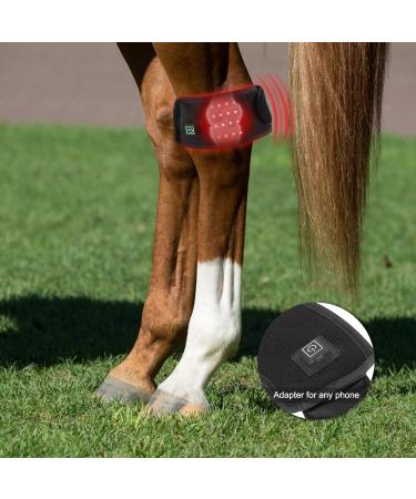 HORREX LED Therapy Device-Infrared & Red Light Therapy for Pain Relief Muscle & Joint Pain from strenuous Exercise of Horse.Accelerate Wound Recovery Reduce Inflammation - Buy Online on GoSupps.com