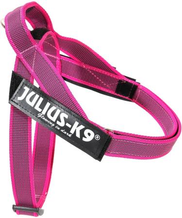 Julius-K9 IDC Color & Gray Belt Harness XS/Mini-Mini Pink-Gray - Best Price & Quality - Buy Online on GoSupps.com