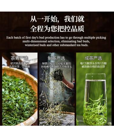 HQZM Premium Preming Biluochun Tea 250g 881oz Strong Flavor Chinese Green Tea Refreshing Taste - Buy Online on GoSupps.com
