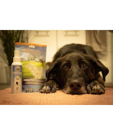 Bellfor Natural Dental Care for Dogs - Tartar Control Easy Dosage All Breeds | Savings Set: Powder Sticks Spray (100g) - Buy Online on GoSupps.com
