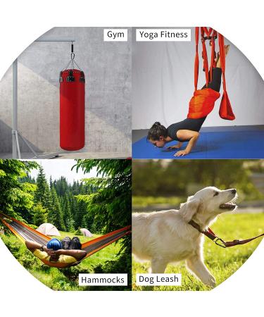 855lbs Heavy Duty Carabiner Clip for Hammocks, Camping, Hiking - D-Shaped Spring Hook for Outdoors, Gym, Dog Leash - Black (2 Pack) - Buy Online on GoSupps.com