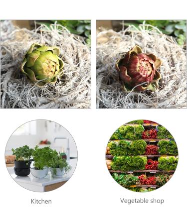 HOMSFOU 10 Pcs Artichoke Artificial Flower House Decorations for Home Plant Decor Household Decor Faux Artichokes Botanical Decor Home Decor Silk Flower Fake Vegetables Artificial Flowers - Buy Online on GoSupps.com