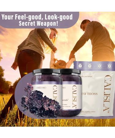 Calisla - Purple Wildcrafted Sea Moss Raw Gel Ethically Harvested From Canadian Atlantic Ocean 2 Month Supply of SeaMoss Raw Gluten-Free Non-GMO Vegan Nutrient-Rich Irish SeaMoss 50g 1.76 Oz - Buy Online on GoSupps.com