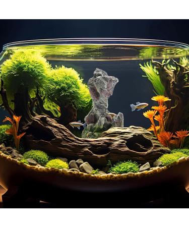 Ctpeng Aquarium Hole Decor - Art Deco Style for Stunning Aquascapes | International Shipping Available - Buy Online on GoSupps.com