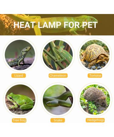 Caldarax 50W UVB Turtle Heat Lamp - Dimmable Halogen Light for Reptiles Turtles Lizards & Snakes | 2-Pack E27 Terrarium Lamps 220-240V - Buy Online on GoSupps.com