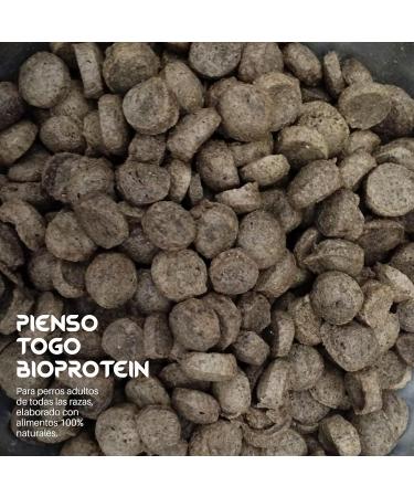 Hypoallergenic Food Togo 12 kg Grain-free food | Suitable for all breeds | Large and medium | Ideal for gastrointestinal renal and joint systems | Natural and Light - Buy Online on GoSupps.com
