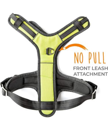 Mighty Paw Sport Harness 2.0 - Padded Adjustable Dog Harness with Reflective Seams (X-Large Green) | International Shipping Available - Buy Online on GoSupps.com