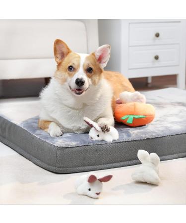 Amazon Basics Hide and Seek Squeaky Dog Plush Toy Rabbit and Carrot Orange and White 5 Count - Buy Online on GoSupps.com