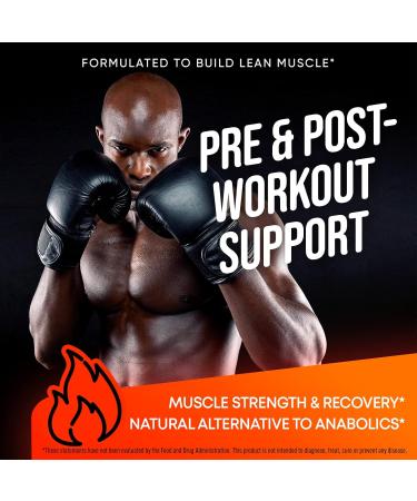 JOYLI Nutrition Fadogia Agrestis & Tongkat Ali - 1600MG Muscle Builder Supplement | 200 Vegan Capsules for Men | Boost Performance & Vitality - Buy Online on GoSupps.com