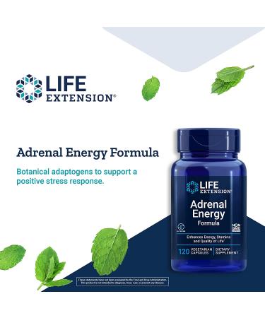 Life Extension Adrenal Energy Formula - 120 Vegetarian Capsules for Vitality & Stress Relief - Buy Online on GoSupps.com