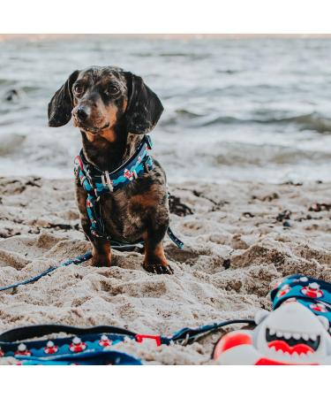 Max & Molly H-Harness - Frenzy The Shark | XS - International Shipping Available - Buy Online on GoSupps.com