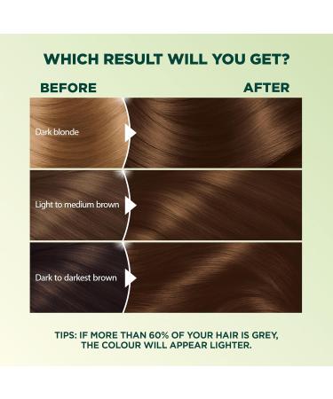 Garnier Nutrisse Ultra Cr me Permanent Hair Dye 100% Grey Coverage Vegan Formula Nourished Hair Long-Lasting Rich Colour 53 Medium Golden Brown 1 Application Packaging May Vary BROWN SHADES 53 Medium Golden Brown - Buy Online on GoSupps.com