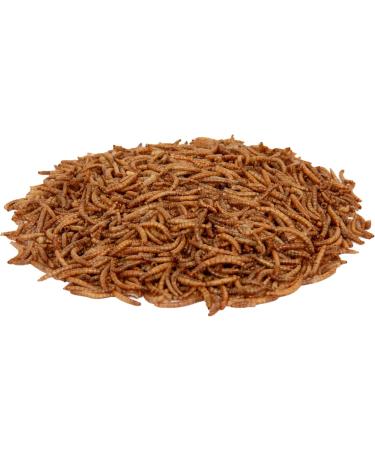 Premium Futterhof Dried Mealworms 3L Bucket (500g) - High-Quality Protein Source for Birds | International Shipping - Buy Online on GoSupps.com