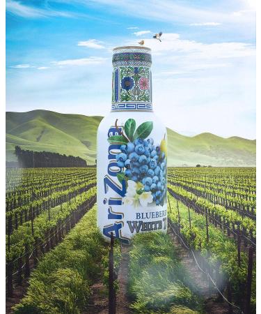 AriZona - Blueberry White Tea - 100% Pleasure Drink 6 PET Bottles 500ml - Buy Online on GoSupps.com