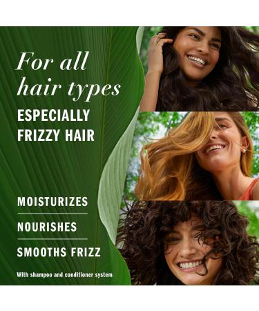 Herbal Essences Pure Plants Hemp Oil Sulfate Free Shampoo Frizz Control with Certified Camellia Oil and Aloe Vera For All Hair Types Especially Frizzy Hair 600 mL Floral and Aloe Vera 600 ml (Pack of 1) - Buy Online on GoSupps.com