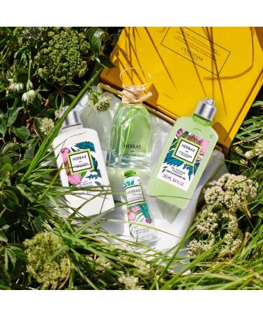 L'OCCITANE - Herbae Body Beauty Milk - 250 ml - Made in France - Buy Online on GoSupps.com