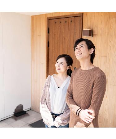 Relaxdays Cast Iron Shoe Brush Hard Bristles Antique Outdoor Boot Scraper Hedgehog Design Coir Brown/Bronze/Copper 17.5 x 24 x 14cm Brown / Bronze / Copper - Buy Online on GoSupps.com