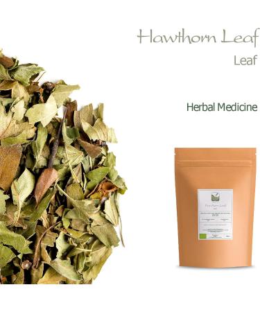 Hawthorn Leaf Organic Flower Tea - High Food Grade 100g (Pack of 1) - Hawthorne Leaves and Flowers - Buy Online on GoSupps.com