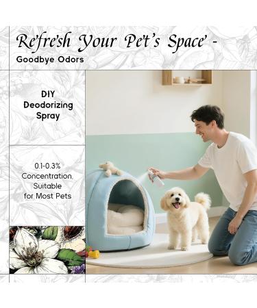 HIQILI 30ML Clove Essential Oil & 30ML Dragon Tea Nebula Fragrance Oil for DIY Diffuser - Buy Online on GoSupps.com