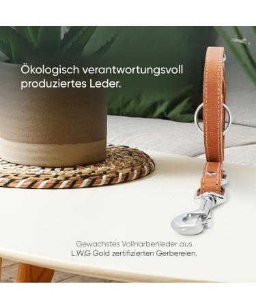 Freudenier Triple Adjustable Dog Leash - 2m Certified Leather Stylish & High Quality | Amstelpark Collection (Cognac 20mm) - International Shipping Available - Buy Online on GoSupps.com