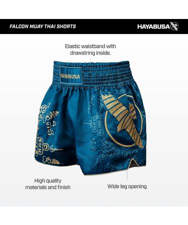 Hayabusa Falcon Muay Thai Shorts - Small Black | Premium Quality - Buy Online on GoSupps.com