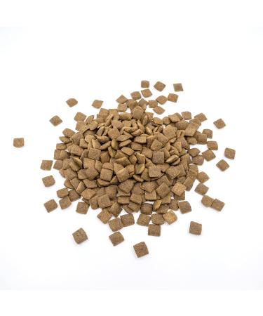 Nature's Protection Superior Care Hypoallergenic Dry Dog Food for Adult Dogs of All Breeds I Grain Free I Salmon I Food for Adult Dogs with Food Sensitivities 1.5 kg - Buy Online on GoSupps.com
