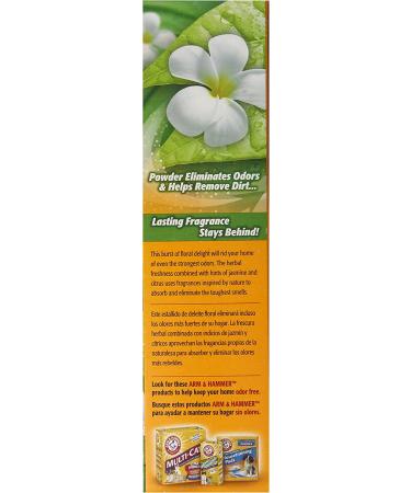 Arm & Hammer Extra Strength Odor Eliminator 30 Oz - Pack of 6 | Carpet and Room Odor Neutralizer - Buy Online on GoSupps.com