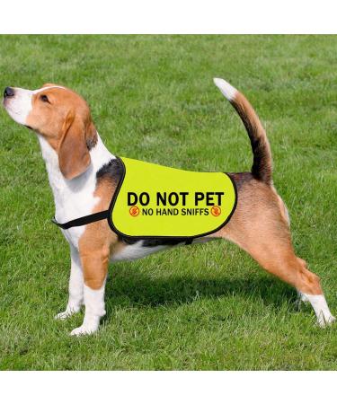 Do Not Pet No Hand Sniffs Dog Jacket Vest Nervous Anxious Dog Slogan Warning Vest (NO HAND SNIFFS Medium) NO HAND SNIFFS M EU - Buy Online on GoSupps.com