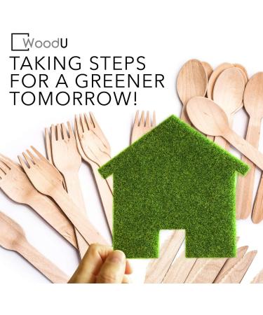 Disposable Wooden Plates (Wooden Cutlery Set) - Buy Online on GoSupps.com