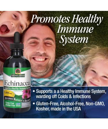 Echinacea Root Extract 1000 mg - Alcohol-Free, 4 fl oz | Nature's Answer - Buy Online on GoSupps.com