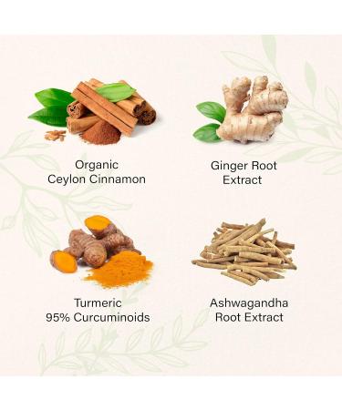 Organic Ceylon Cinnamon Gummies with Ginger Turmeric Ashwagandha - Antioxidant Support - 60 Banana-Flavored Chews - Buy Online on GoSupps.com