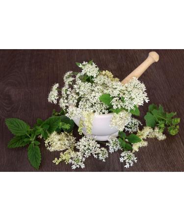  SIPF PROMINCIL 200 ml | Helps you lose weight naturally thanks to the combination of three plants: Fucus Meadowsweet and Horsetail | 100% Natural Formula | SYNERGIA Laboratory - Buy Online on GoSupps.com