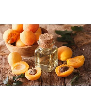 Dr Joe Lab Apricot Kernel Seed Oil - 1 Gallon | Pure Cold Pressed Carrier Oil for Hair Skin Body Nail & Beard Care - Buy Online on GoSupps.com