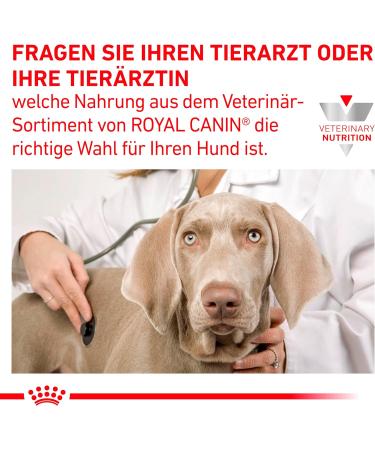 Royal Canin Veterinary Hepatic Mousse | 12 x 200 g | Complete food for adult dogs | May help maintain liver function in cases of liver failure - Buy Online on GoSupps.com