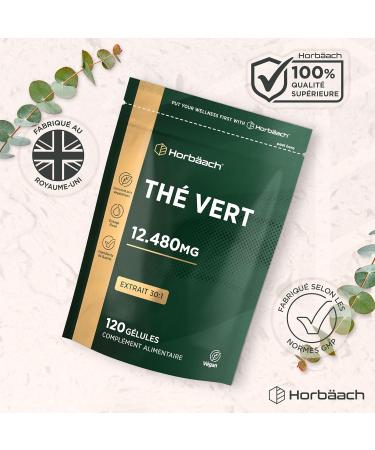 Extrait Th Vert Gelules 12480 mg | Green Tea Extract | Extrait Haute R sistance | 120 G lules de Poudre | V g talien et V g tarien | by Horbaach - Buy Online on GoSupps.com