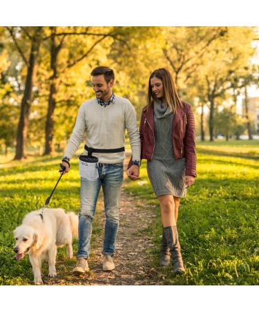 GOTRUST Treat Pouch for Dog Training Dog Treat Bags Small Pet Puppy Treat Pouch Bag Waterproof Dog Walking Pouches with Adjustable Waist Belt and Built-in Dog Waste Bag Dispenser Gray - Buy Online on GoSupps.com