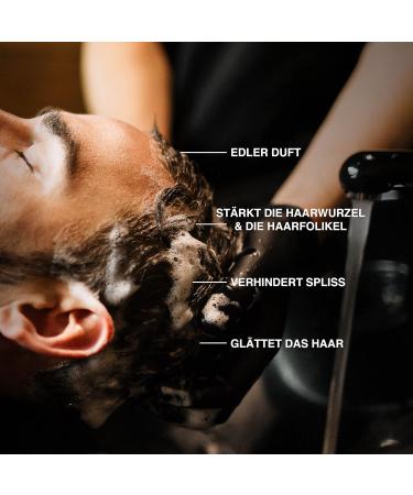 Charlemagne Hair Conditioner for Men - Silicone-Free Anti-Frizz & Anti-Breakage Rinse - Made in Germany - 200 ml (1 Pack) - Buy Online on GoSupps.com